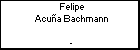 Felipe Acua Bachmann