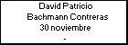 David Patricio Bachmann Contreras